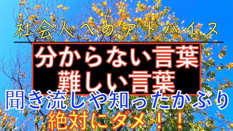 お仕事で分からない言葉や難しい言葉を使われた時にどうする 聞き流しや知ったかぶりは一番良くありません Simacat Com