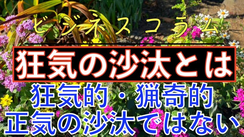 「狂気の沙汰じゃない」とはどういう意味ですか？